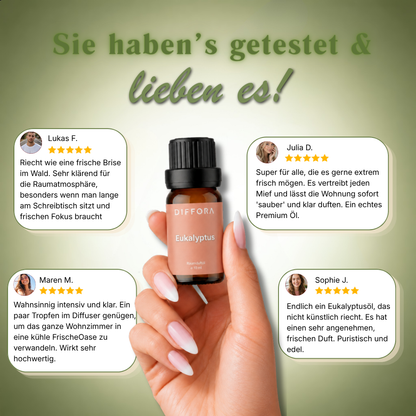 Ätherisches Eukalyptus "Arctic Air" Raumduftöl von ꓓꓲꓝꓝꓳꓣꓥ™ in einer Flasche, ideal für Aromatherapie und Raumduft.