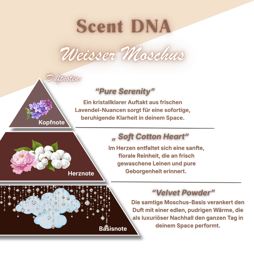 Weißer Moschus Raumduftöl „Pure Softness“ von ꓓꓲꓝꓝꓳꓣꓥ™ in einer Flasche, ideal für angenehmen Duft im Raum