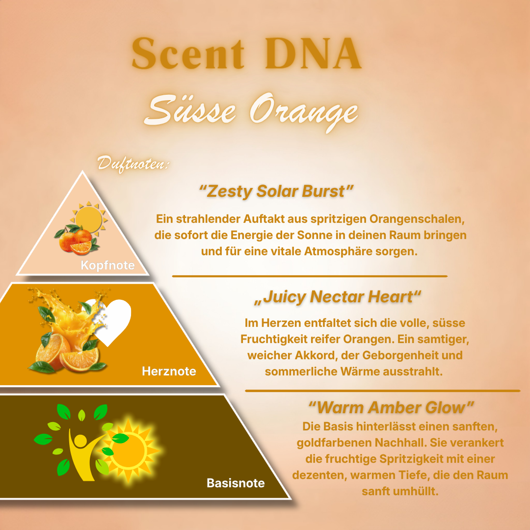Ätherisches Raumduftöl "Sun-Kissed" in Orange von ꓓꓲꓝꓝꓳꓣꓥ™, flüssiges Öl mit frischem Orangenduft, in Flasche.