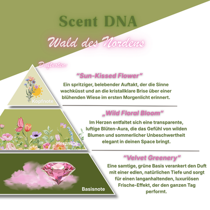 Wald des Nordens Scandi Spring Raumduftöl in Flasche, natürliche Düfte für ein frisches Raumklima, von ꓓꓲꓝꓝꓳꓣꓥ™
