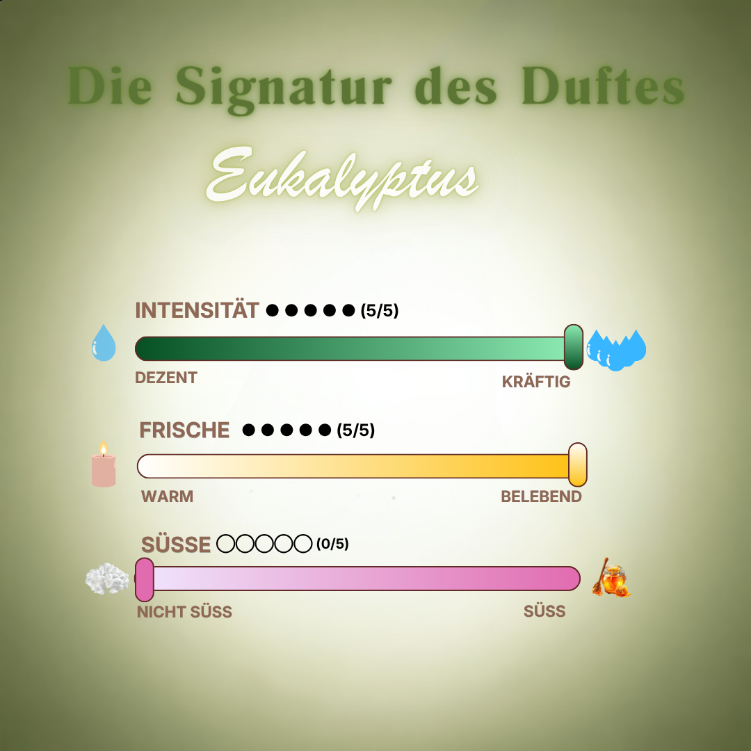Ätherisches Raumduftöl „Arctic Air“ mit Eukalyptus von ꓓꓲꓝꓝꓳꓣꓥ™, Flasche mit grünem Eukalyptus-Design.