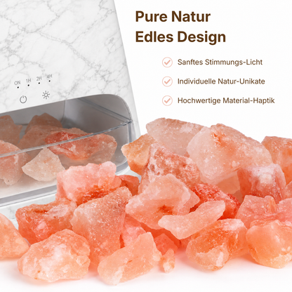 Himalaya-Salz im Signature Starter Set von ꓓꓲꓝꓝꓳꓣꓥ™, zeigt die natürlichen Salz-Kristalle in einer Schale.