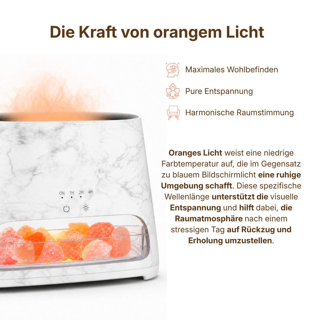 Vorteile des ꓓꓲꓝꓝꓳꓣꓥ™ Signature Starter Sets, zeigt orangefarbene Produktverpackung und Zubehör.