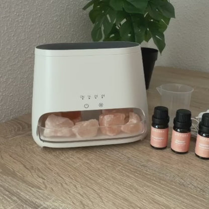 ꓓꓲꓝꓝꓳꓣꓥ Signature Starter Set
