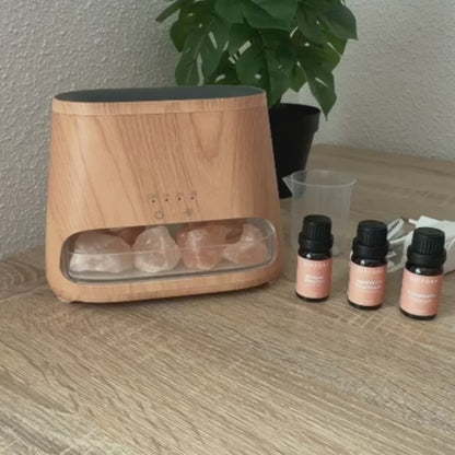ꓓꓲꓝꓝꓳꓣꓥ Signature Starter Set