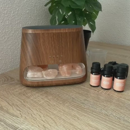 ꓓꓲꓝꓝꓳꓣꓥ Signature Starter Set