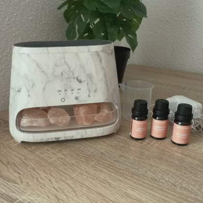 ꓓꓲꓝꓝꓳꓣꓥ Signature Starter Set